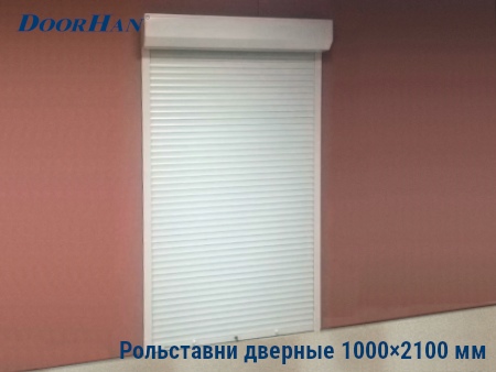 Рольставни для дверей 1000×2100 мм